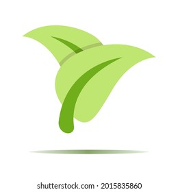 leaf icon of color style design vector template