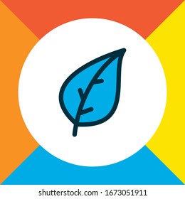Leaf icon colored line symbol. Premium quality isolated foliage element in trendy style.