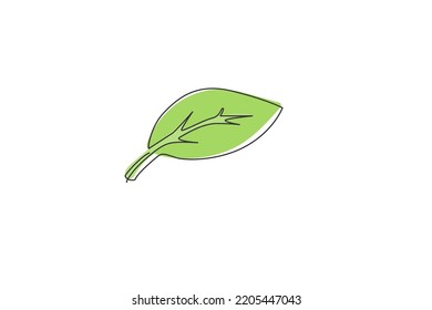 Icono de hoja. Dibujo continuo de una línea de naturaleza verde diseño de ilustración vectorial minimalista sobre fondo blanco. Línea simple aislada estilo gráfico moderno. Concepto gráfico dibujado a mano para el medio ambiente