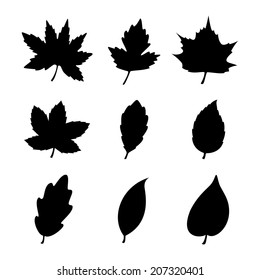Leaf icon design
