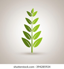 leaf icon  design 