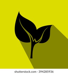 leaf icon  design 