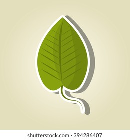 leaf icon  design 