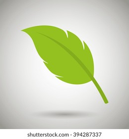 leaf icon  design 