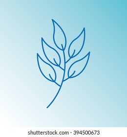 leaf icon design 