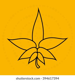 leaf icon  design 