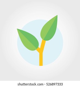 Leaf Icon Design