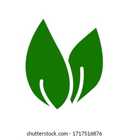leaf 
icon design, flat style trendy collection