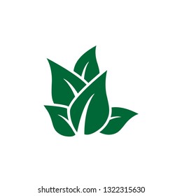 Leaf icon design template vector isolated illustration