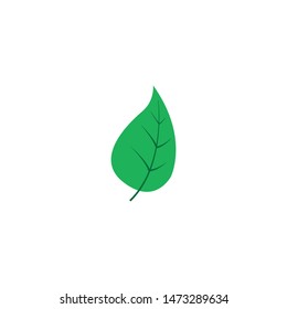leaf icon design template vector