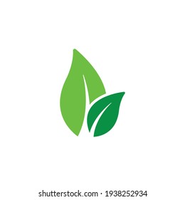 Leaf icon design template vector isolated