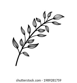 Leaf icon design template vector illustration
