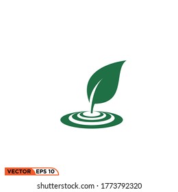 leaf icon design vector illustration template