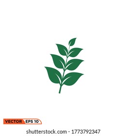 leaf icon design vector illustration template