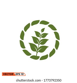 leaf icon design vector illustration template