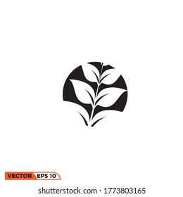 leaf icon design vector illustration template