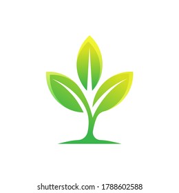 Leaf icon design vector illustration. Abstract Leaf icon vector concept for nature, agriculture and farm business. Green Tree Leaf Logo, icon, sign and symbol vector design illustration.