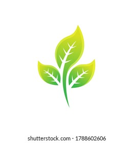 Leaf icon design vector illustration. Abstract Leaf icon vector concept for nature, agriculture and farm business. Green Tree Leaf Logo, icon, sign and symbol vector design illustration.