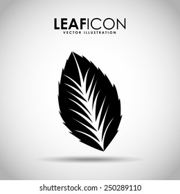leaf icon design, vector illustration eps10 graphic 