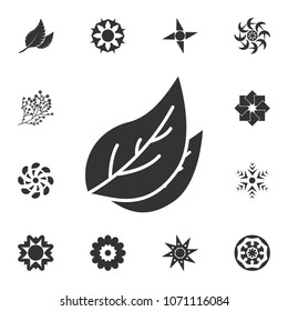 Leaf icon. Detailed set of Flower illustrations. Premium quality graphic design icon. One of the collection icons for websites, web design, mobile app on white background