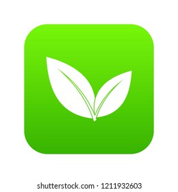 Leaf icon digital green for any design isolated on white vector illustration