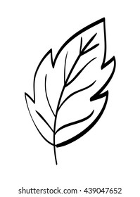 Leaf icon. Eco and green design. vector graphic