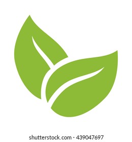 Leaf icon. Eco and green design. vector graphic