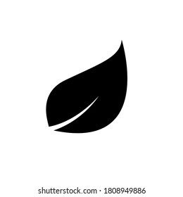 Leaf icon, eco leaves isolated on white background