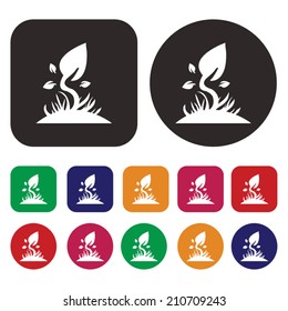 Leaf icon / Ecology icon