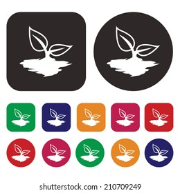 Leaf icon / Ecology icon