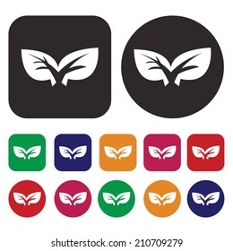 Leaf icon / Ecology icon