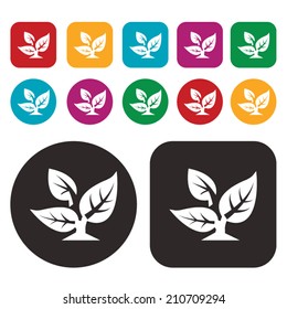 Leaf icon / Ecology icon