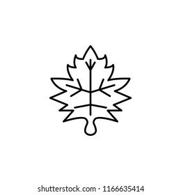 leaf icon. Element of autumn icon for mobile concept and web apps. Thin line leaf icon can be used for web and mobile