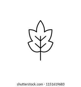 leaf icon. Element of nature icon for mobile concept and web apps. Thin line leaf icon can be used for web and mobile