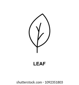 leaf icon. Element of simple web icon with name for mobile concept and web apps. Thin line leaf icon can be used for web and mobile on white background