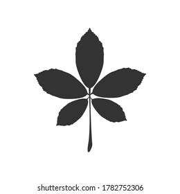 leaf icon. Flat icon autumn leaves. Vector illustration