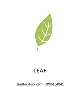 Leaf icon. Flat style icon design. UI. Illustration of leaf icon. Pictogram isolated on white. Ready to use in web design, apps, software, print