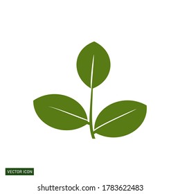 
leaf icon, in a flat style. garden