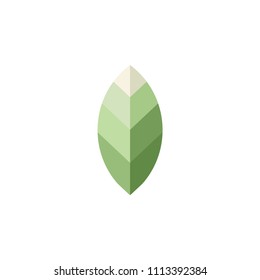 plantilla de logotipo de icono del vector de hoja