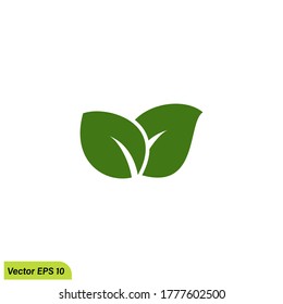 Blattsymbol für Flora-Symbol Design-Element-Logo Vorlage Vektorgrafik eps10