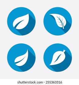 Leaf icon. Fresh natural product symbols. Tree leaves signs. Circle concept web buttons. Vector