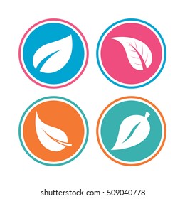 Leaf icon. Fresh natural product symbols. Tree leaves signs. Colored circle buttons. Vector