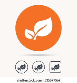 Leaf icon. Fresh organic product symbol. Orange circle button with web icon. Star and square design. Vector