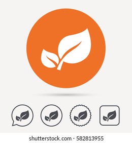 Leaf Icon. Fresh Organic Product Symbol. Circle, Speech Bubble And Star Buttons. Flat Web Icons. Vector