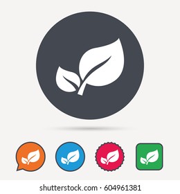 Leaf icon. Fresh organic product symbol. Circle, speech bubble and star buttons. Flat web icons. Vector