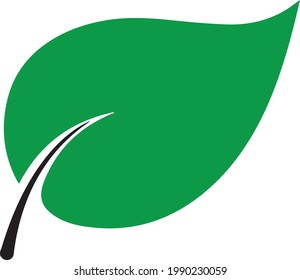 leaf icon. Green leaf ecology nature element vector icon. Leaf Icon. green leaf icons. Green color. Leaf's green color icon logo. Leaves on white background. Ecology.