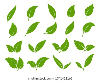 Icono de hoja. Hojas verdes de árboles y plantas, diversas formas. Eco vegano brote o biofollaje aislado elementos vectores conjunto