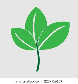 Leaf icon. Green natural leaf drawing. Ecology nature element vector icon. Leaves