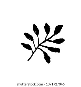 Leaf icon. Grunge vector dry brush illustration.