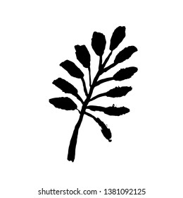 Leaf icon. Grunge vector dry brush illustration.
